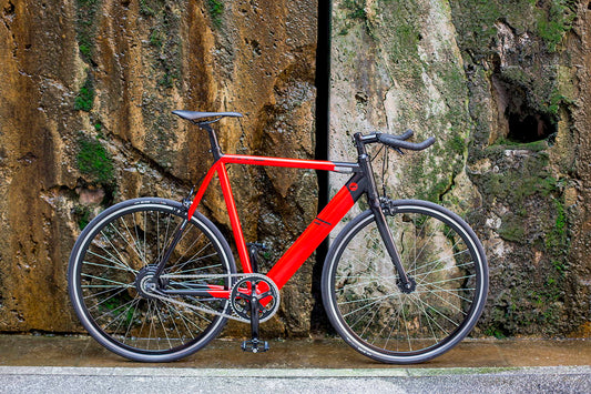 Enzigartiges E-Bike